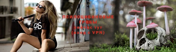 тгк Алексин