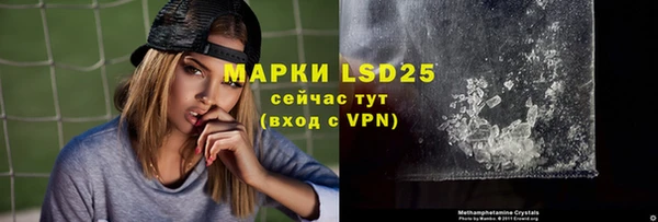 прущий лед Алзамай