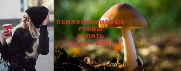 прущий лед Алексеевка