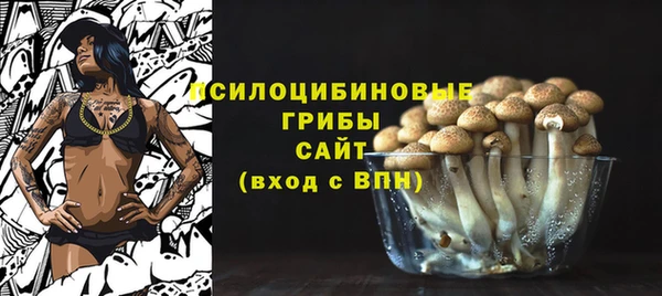 прущий лед Алзамай
