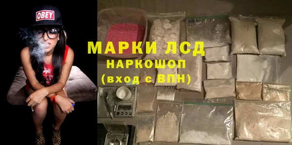 прущий лед Алзамай