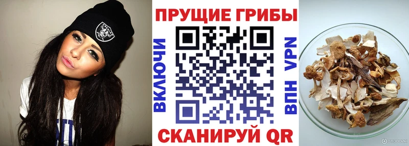 мега как войти  Тобольск  Галлюциногенные грибы мухоморы 